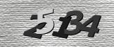 Captcha 이미지