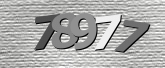 Captcha 이미지