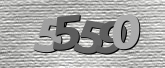 Captcha 이미지