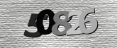 Captcha 이미지