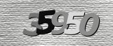 Captcha 이미지