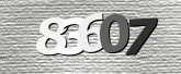 Captcha 이미지