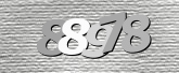 Captcha 이미지