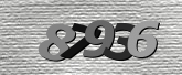 Captcha 이미지
